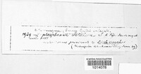 Image Associated With the Occurence